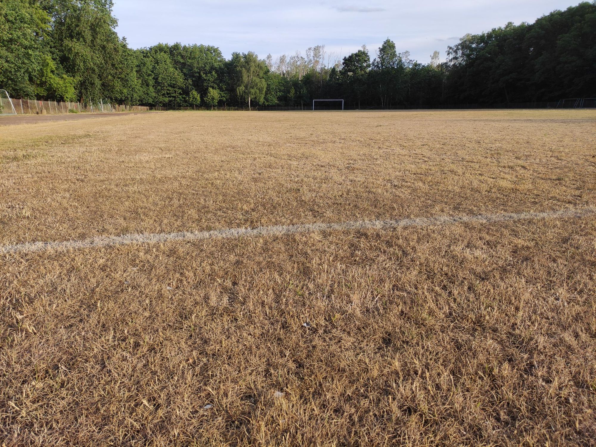 Hilferuf der Wölfe!