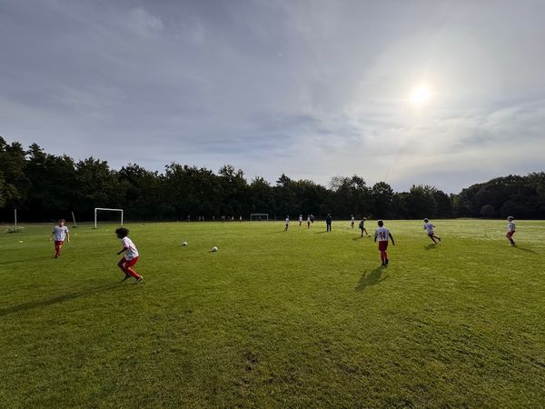 Wölfe starten in neue Wettkampf-Saison