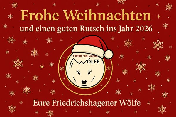 🎄 Frohe Weihnachten und einen guten Rutsch ins Jahr 2026! 🎉